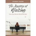 The Mystery of Waiting: How God Works While We Wait - Paperback