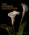 The Stebbins Collection: A Gift for the Morse Museum - Hardcover