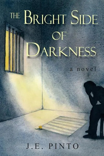 The Bright Side of Darkness - Paperback