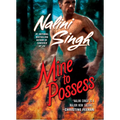 Mine to Possess - Paperback