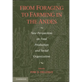 From Foraging to Farming in the Andes - Paperback