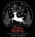 Merry Christmas: A Black and White Baby Book - Hardcover