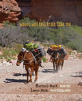 where will this train take me - Paperback