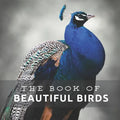 Beautiful Birds: Picture Book For Seniors With Dementia (Alzheimer's) - Paperback