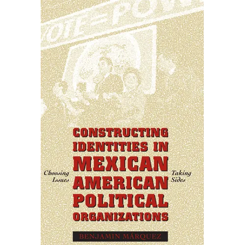 Constructing Identities in Mexican-American Political Organizations: Choosing Issues, Taking Sides - Paperback