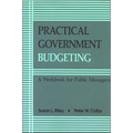 Practical Government Budgeting: A Workbook for Public Managers - Paperback