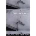 Television after TV: Essays on a Medium in Transition - Paperback