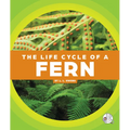 The Life Cycle of a Fern - Library Binding