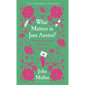 What Matters in Jane Austen?: Twenty Essential Questions Answered - Hardcover