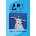 Bible Basics: Large Print Study Guide - Paperback