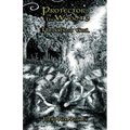 Protectors of The Wood #3: The Ghost Girl - Paperback