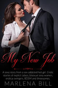 My New Job: A sexy story from a sex addicted hot girl. Erotic stories of explicit taboo, bisexual sexy women, erotica swingers, BDSM and threesomes. - Paperback