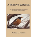 A Robin's Winter: The life and times of a lad who grew up in a hamlet on Saginaw Bay - Paperback