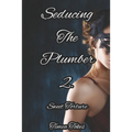 Seducing the Plumber 2: Sweet Torture: A Short Erotic Story (Straight) - Paperback