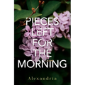 Pieces Left for the Morning - Paperback
