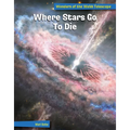 Where Stars Go to Die - Library Binding