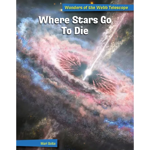 Where Stars Go to Die - Library Binding