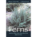 Ferns and Fern Allies of the Trans-Pecos and Adjacent Areas - Paperback