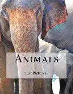 Animals - Paperback