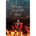 It's just a small fire: The formation of my spiritual life - Paperback