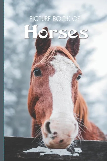 Picture Book Of Horses: Large Print Book For Seniors with Dementia or Alzheimer's - Paperback