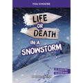 Life or Death in a Snowstorm: An Interactive Survival Adventure - Paperback