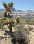 The American Western A Complete Film Guide - Paperback