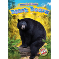 Black Bears - Library Binding