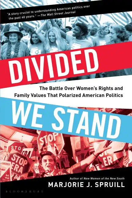 Divided We Stand: The Battle Over Women's Rights and Family Values That Polarized American Politics - Paperback