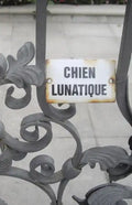 Chien Lunatique: Poems - Paperback
