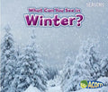 What Can You See in Winter? - Paperback