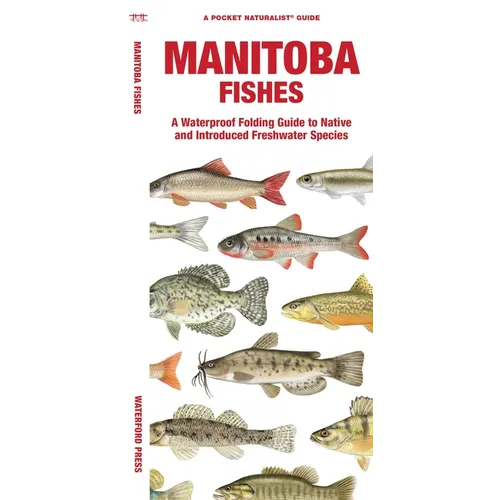 Manitoba Fishes - Paperback