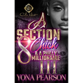 A Section 8 Chick & A Philly Millionaire 3: An African American Romance - Paperback