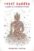 Rebel Buddha: A Guide to a Revolution of Mind - Paperback