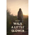 Walk a Little Slower - Paperback