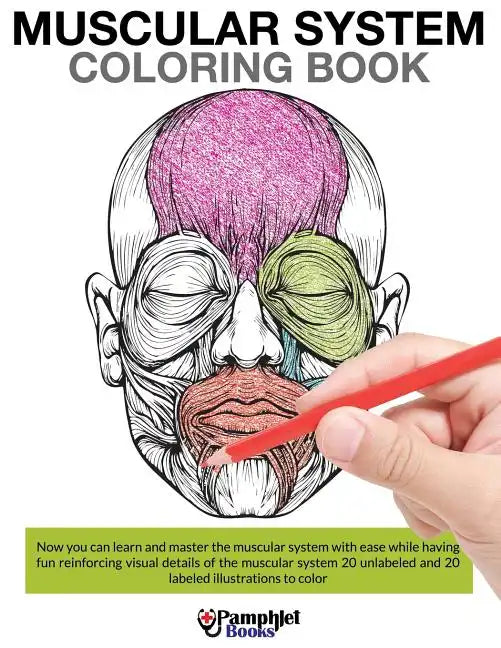 Muscular System Coloring Book - Paperback