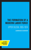 The Formation of a Modern Labor Force: Upper Silesia, 1865-1914 - Paperback