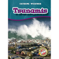 Tsunamis - Paperback