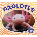 Axolotls - Library Binding