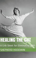 Healing the Gut: A Crib Sheet for Eliminating SIBO - Paperback