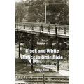 Black and White Justice in Little Dixie: Three Historical Essays - Paperback