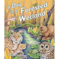 A Day in a Forested Wetland - Paperback