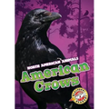 American Crows - Library Binding