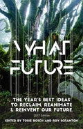 What Future: The Year's Best Ideas to Reclaim, Reanimate & Reinvent Our Future - Paperback