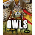 Owls - Library Binding