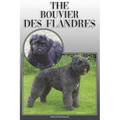 The Bouvier Des Flandres: A Complete and Comprehensive Owners Guide To: Buying, Owning, Health, Grooming, Training, Obedience, Understanding and - Paperback