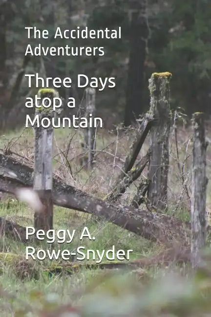 Three Days atop a Mountain: The Accidental Adventurers - Paperback