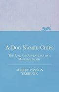 A Dog Named Chips - The Life and Adventures of a Mongrel Scamp - Paperback