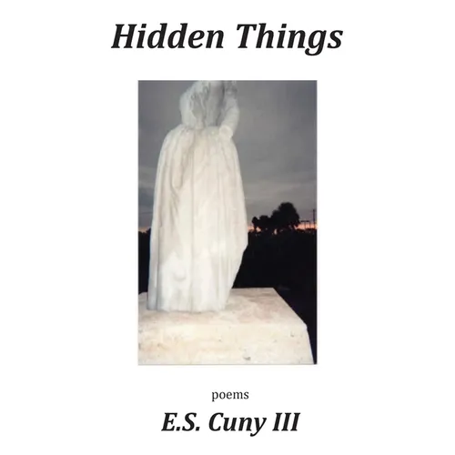 Hidden Things - Paperback
