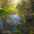 Follow the Brule - Paperback